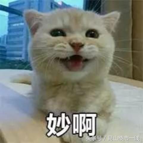 鏄嗗北鏈潵鍙戝睍娼滃姏,鏄嗗北鏈潵鍙戝睍鏂瑰悜