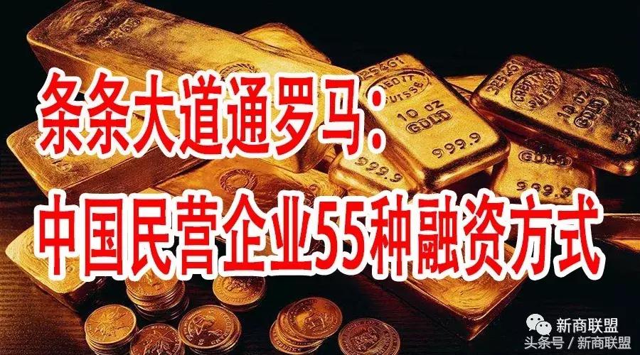 条条大道通罗马：中国民营企业55种融资方式