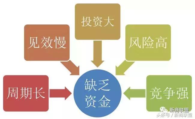 条条大道通罗马：中国民营企业55种融资方式