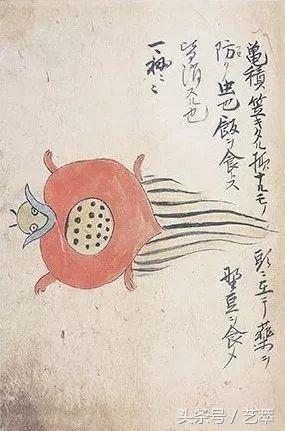 四百年前，日本人给寄生虫画了套漫画？！｜艺术画册