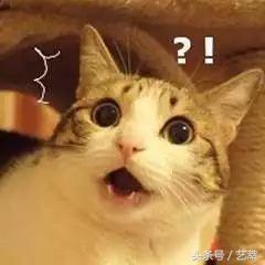 四百年前，日本人给寄生虫画了套漫画？！｜艺术画册