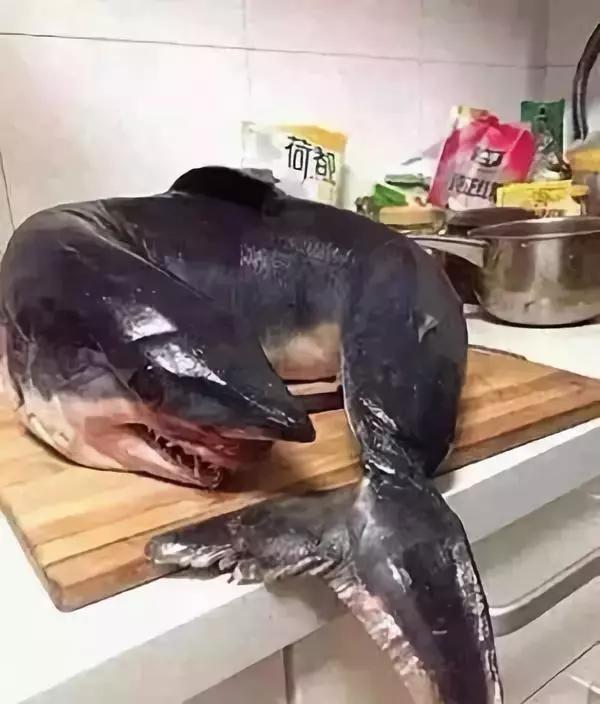 最可怕的代购骗局,代购十大骗局揭秘图