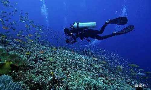 潜水知识小课堂,潜水知识大全