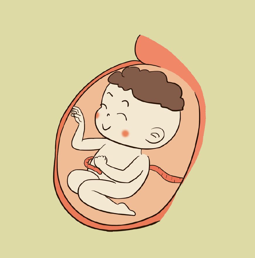 做b超的时候宝宝在干嘛,孕妈妈做b超时宝宝在干嘛