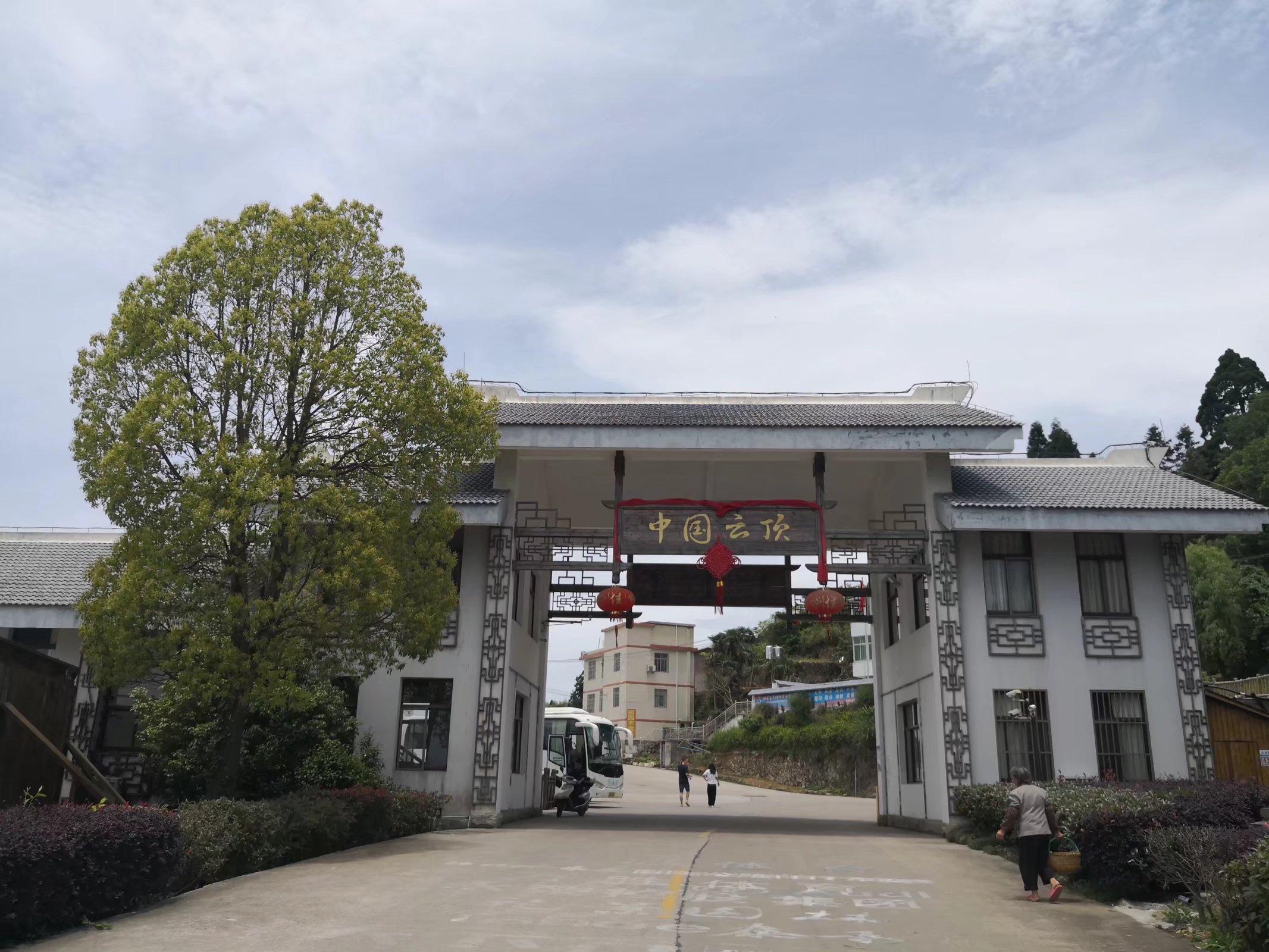 福建儿时的记忆山上的野果,福建山上秋天野果