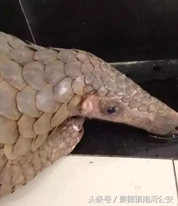 朋友圈里卖低价服装的真相,代购骗局揭秘朋友圈