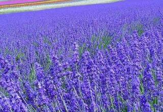 抖音爸爸没骗我，消灭痘印七种方法了解一下