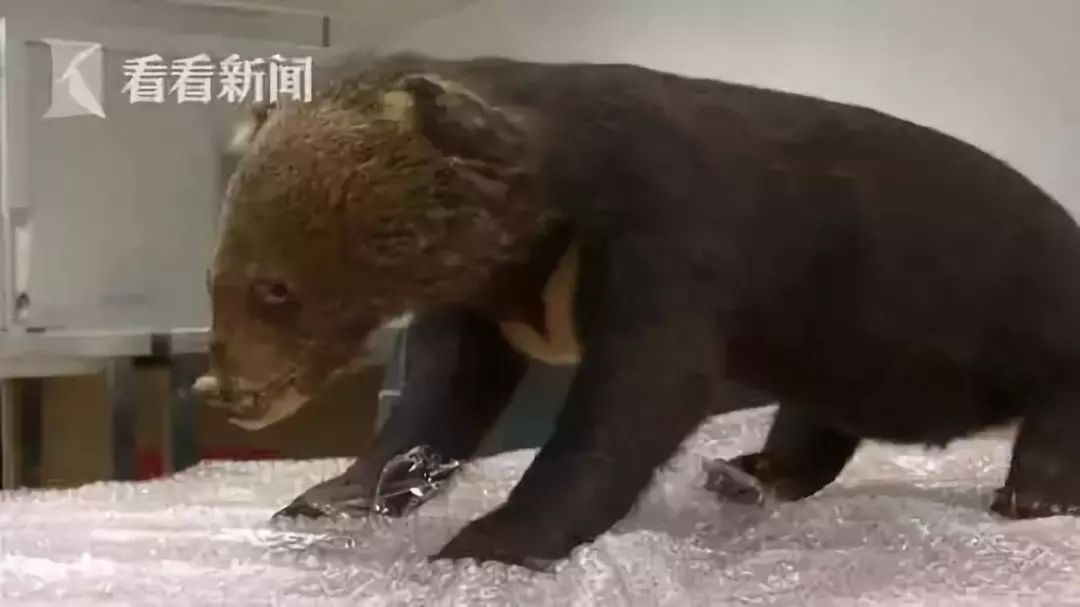 代购究竟有多暴利,代购骗局揭秘朋友圈