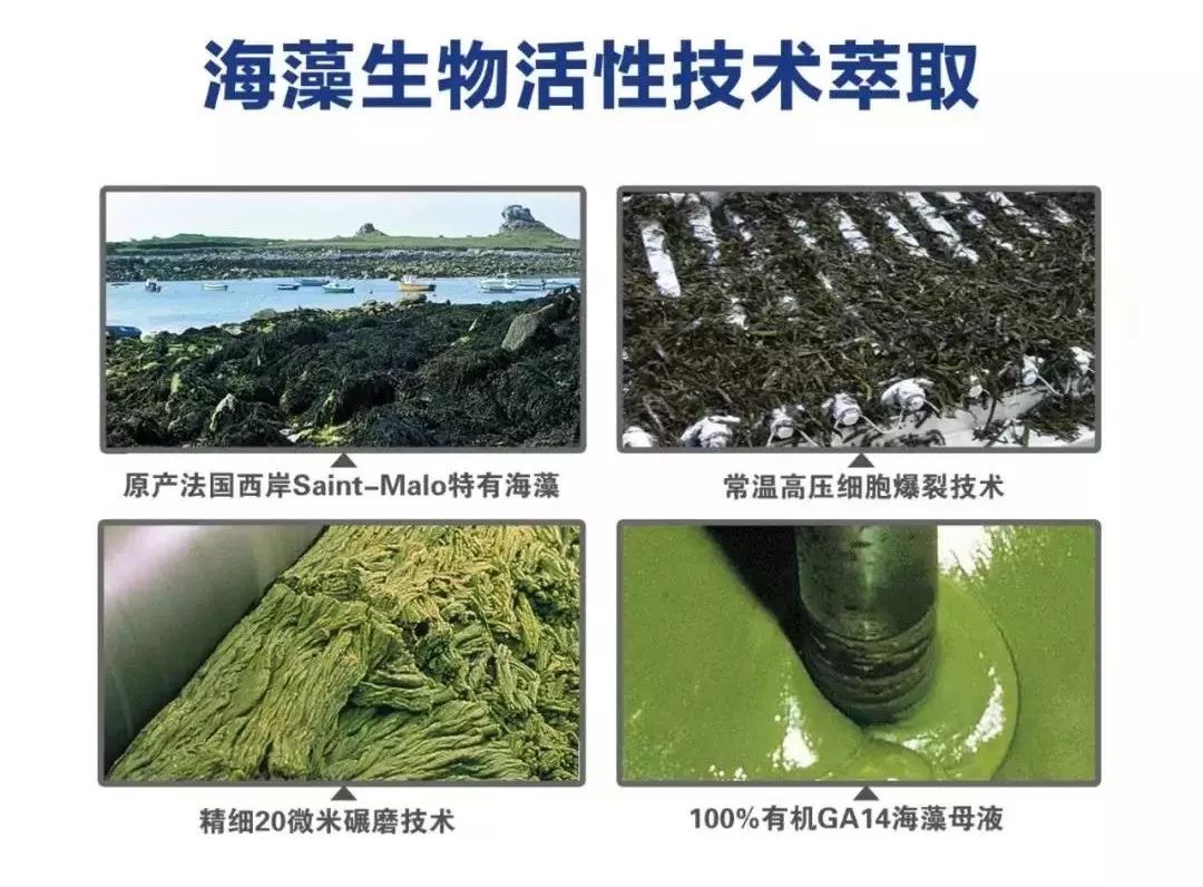 淇濊姳淇濇灉鑶ㄥぇ闃茶,閫熷缓鍔犲浐鏉愭枡