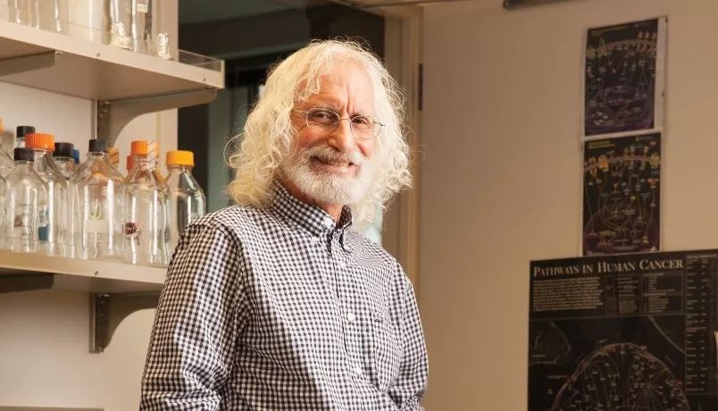 car-t揭秘,car-t大揭秘