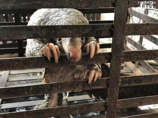 代购究竟有多暴利,代购骗局揭秘朋友圈