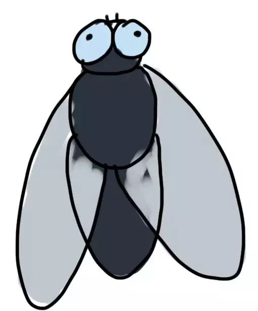 四害消杀温馨提醒,除四害科普小知识