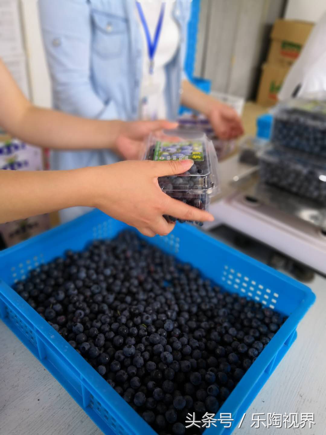 宜昌新林桥打工妹,宜昌工厂打工妹