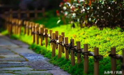 操盘手吴国平,拈花湾吴国平