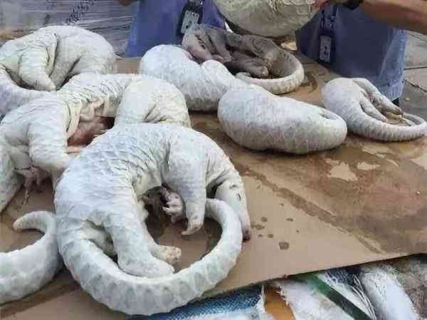 朋友圈里卖低价服装的真相,朋友圈代购低价套路