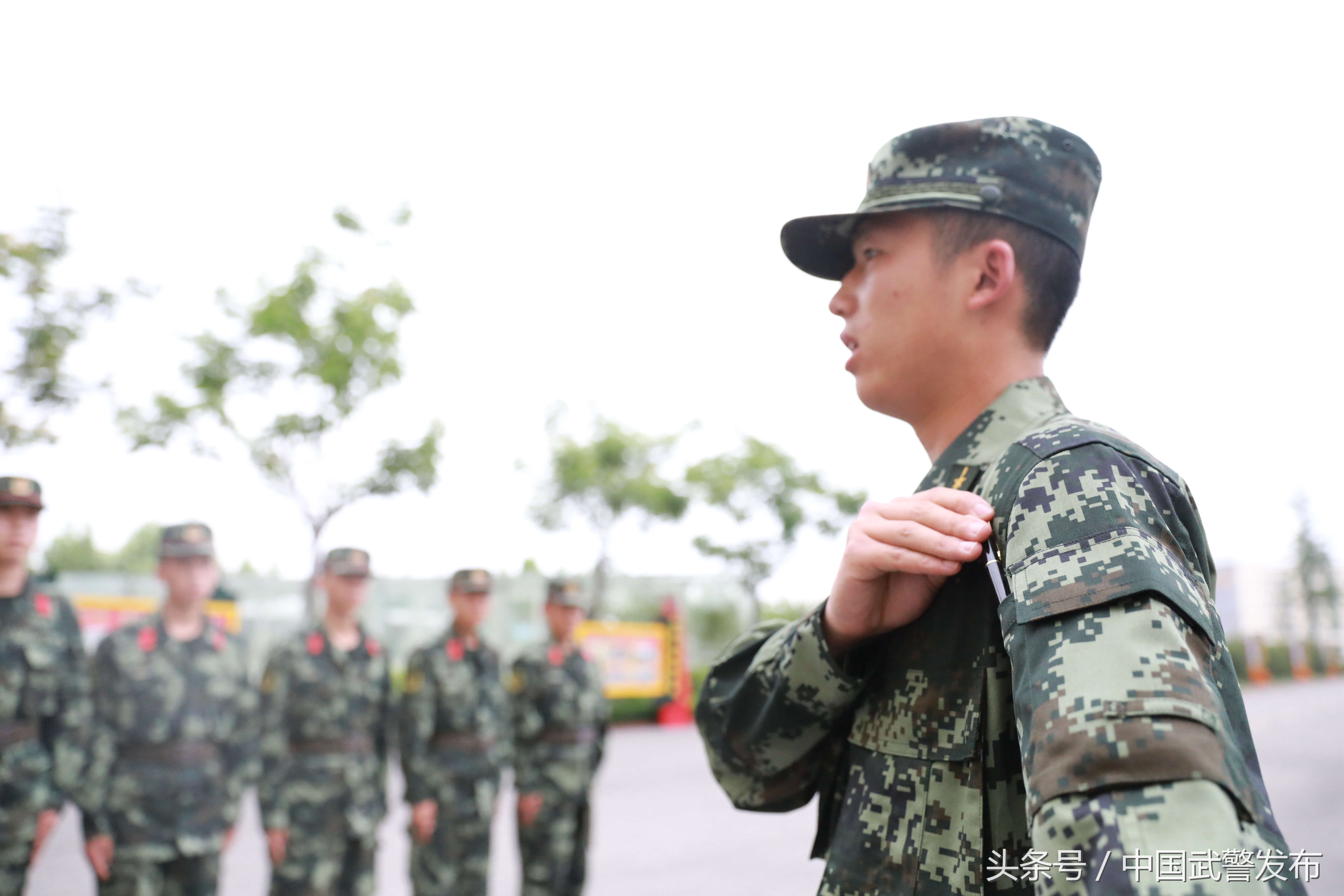 新式迷彩有哪些特点图片,20款新式迷彩