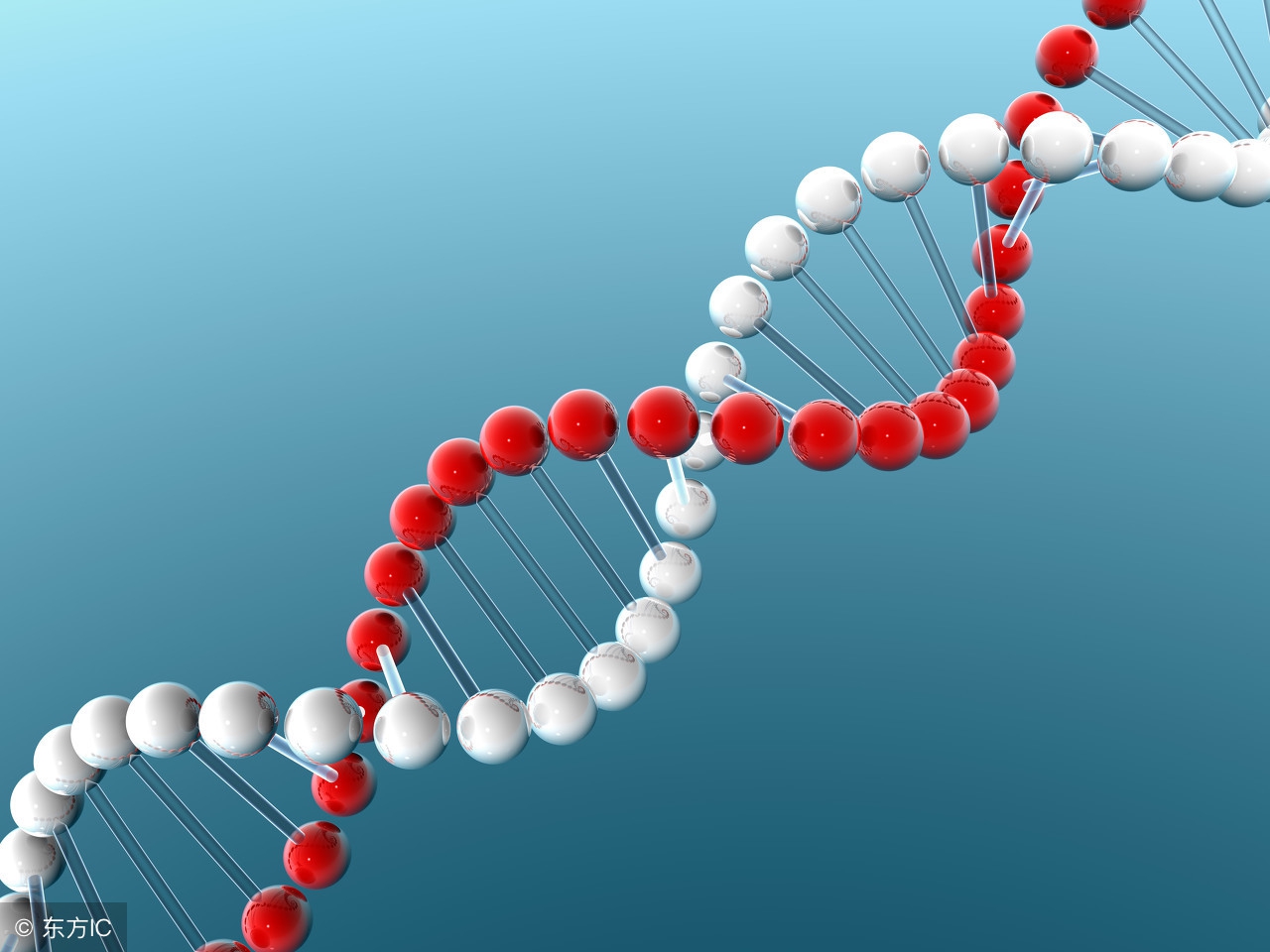 女性孕前检查挂妇科还是产科,女性孕前为什么检查牙齿