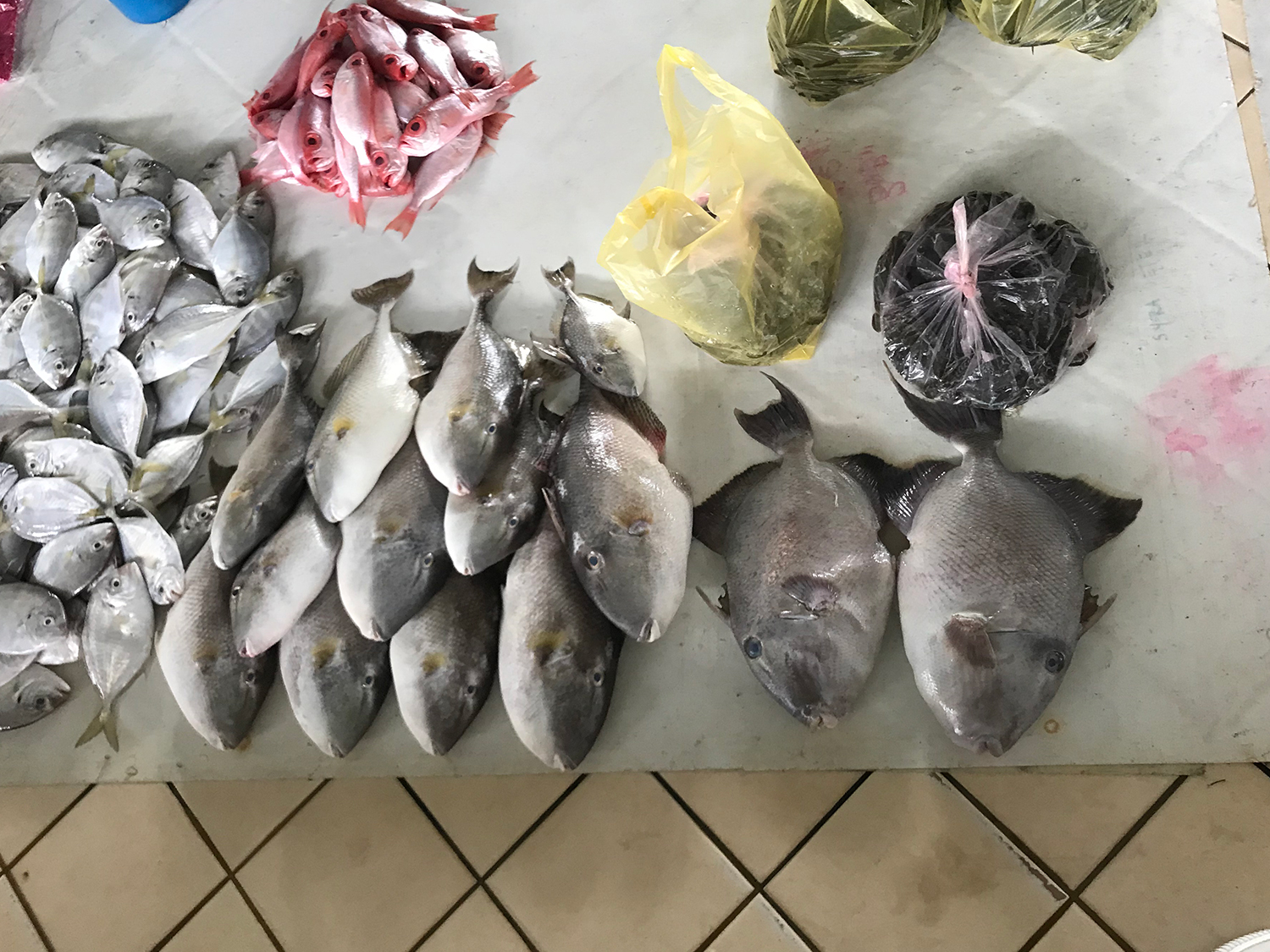 沙巴到底值不值得去,沙巴好不好玩