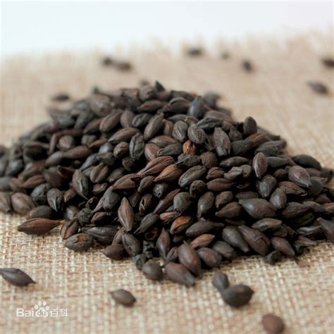 咽干口燥口苦是什么原因吃啥药,咽干口干口苦喉咙有异物感