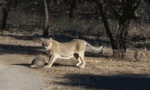 代购骗局揭秘朋友圈,朋友圈里卖低价服装的真相