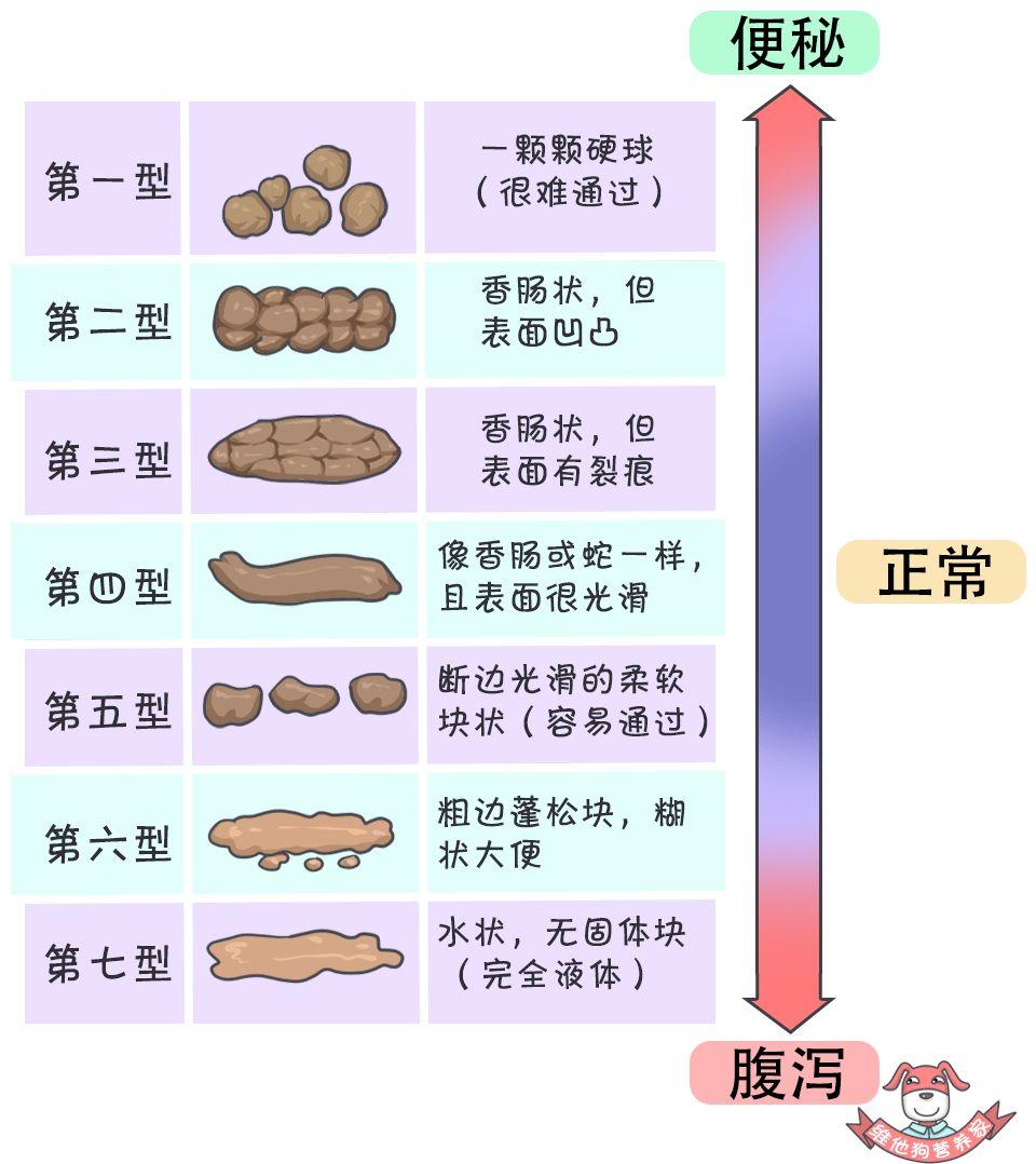 好便便or坏便便儿科医生教你区分,宝宝便便常见问题答疑