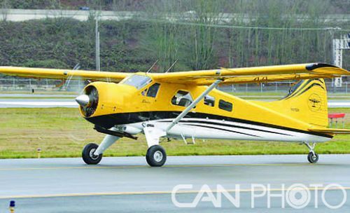 加拿大造u-6a海狸效用机,飞机海狸短距起飞