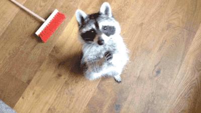 中医诊所备案需不需要现场审批,现在中医诊所好开吗