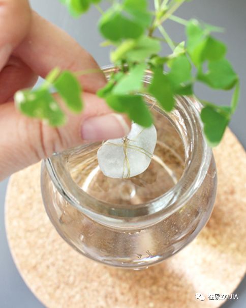 网红花艺师收费标准,零基础怎样成为花艺师