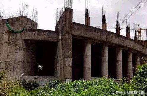 脑白金酒,脑白金是智商税吗