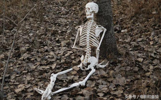 六月好电影,6月新上映的好电影