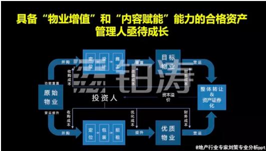 铂涛集团排名,品牌先行者铂涛