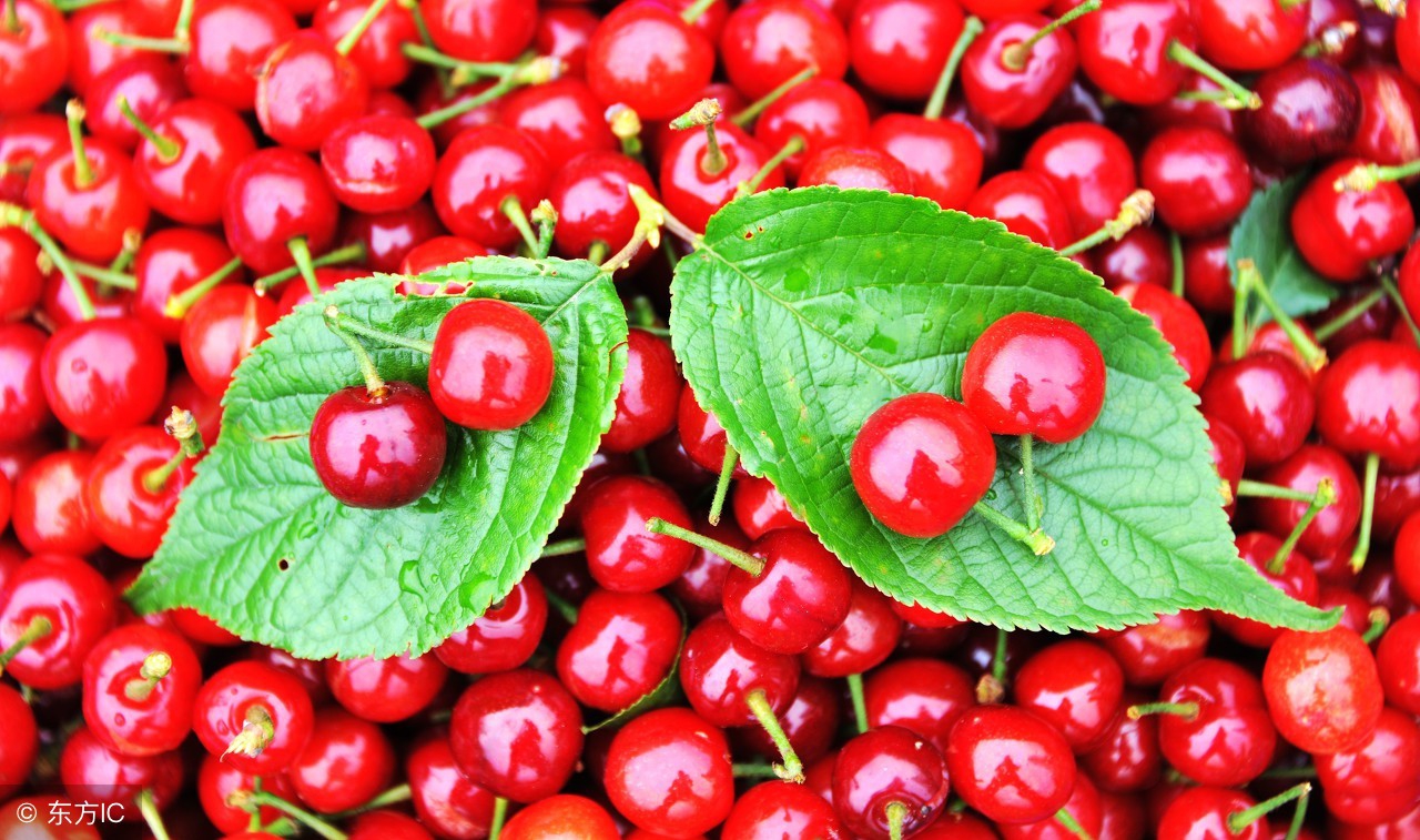 帮助补铁的食物有哪些,有助于补血的菜谱