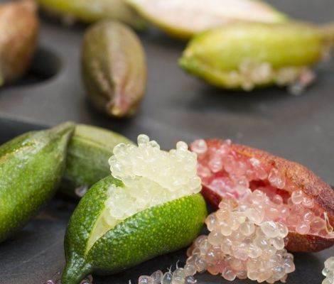 世界上最贵的水果十大排名,世界十大最贵水果排名