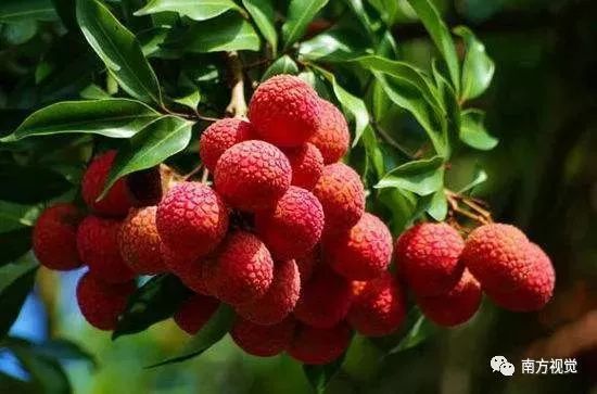 江湛铁路时刻表,江湛铁路线路图