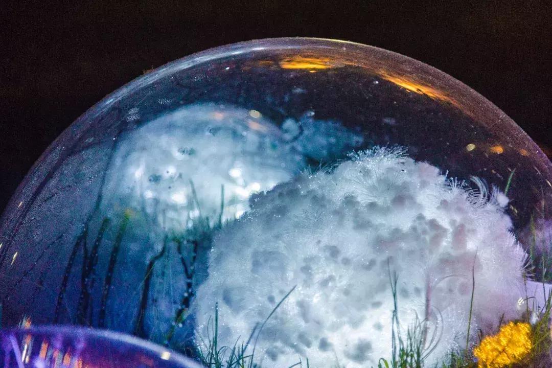 南艺你不知道的事,南艺的真实生活