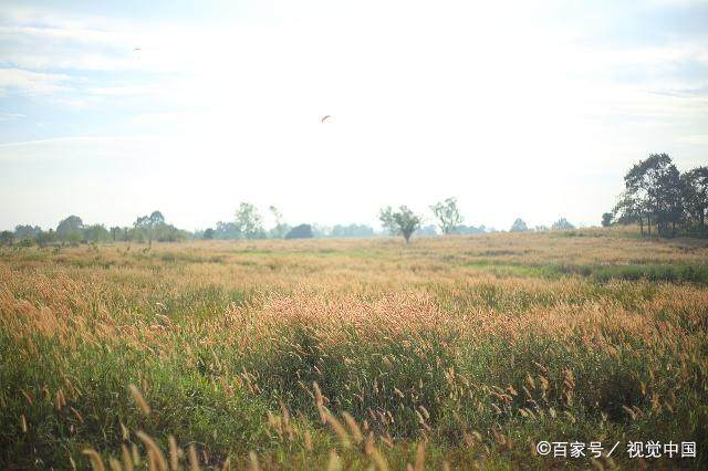 2018年最严环保政策怎么来的,生态环境部反对任何形式一刀切