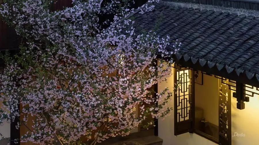 他找来浙大团队，用茶研发洗护用品，成了日本人都在代购的新国货