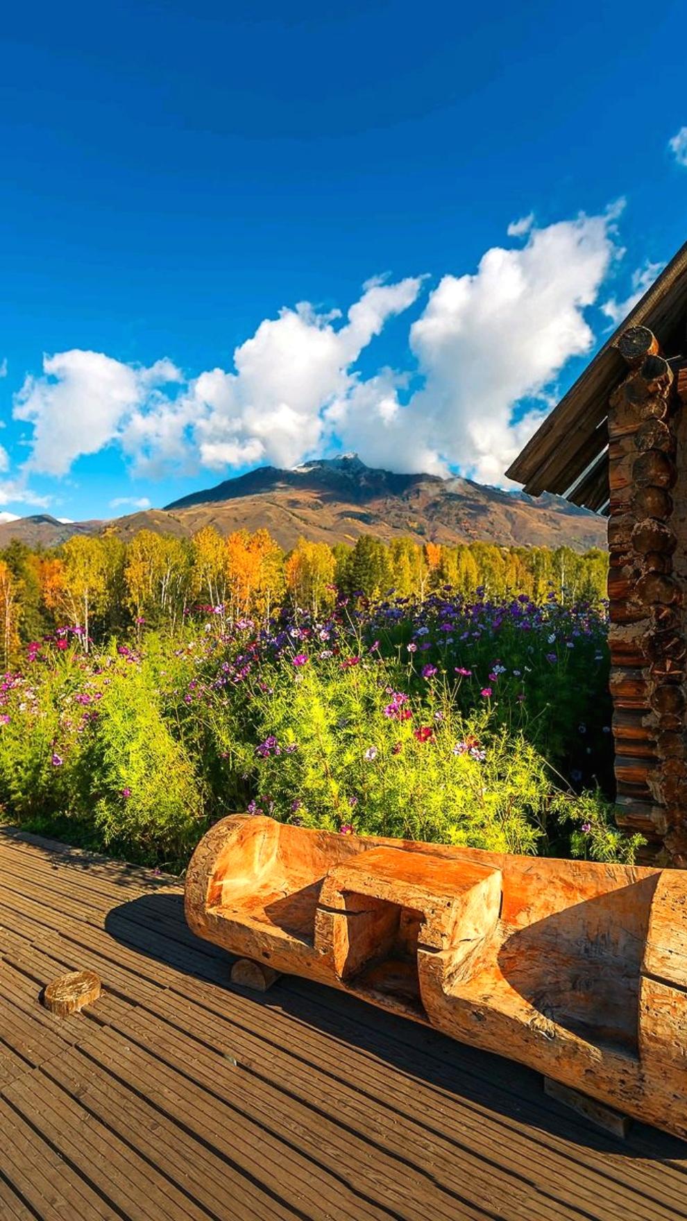 手机美丽壁纸,柔美如画的手机壁纸