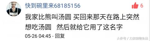 你给宠物起过哪些奇葩的名字？盘点那些让人印象深刻的宠物名字！