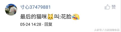 你给宠物起过哪些奇葩的名字？盘点那些让人印象深刻的宠物名字！