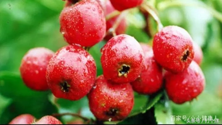 女大学生刚毕业不久就被查出子宫内膜癌，原因竟来自她的黑人男友