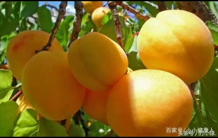 女大学生刚毕业不久就被查出子宫内膜癌，原因竟来自她的黑人男友