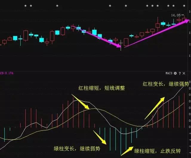 炒股真的可以赚钱吗,炒股靠分红赚钱可行吗