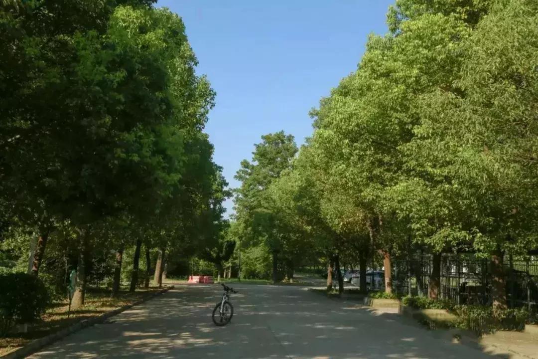 安徽阜阳五中学校好吗,阜阳五中是哪个镇