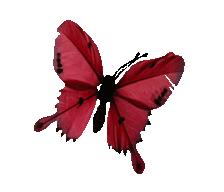 妈妈好想你抖音完整版,妈妈好想你电视剧