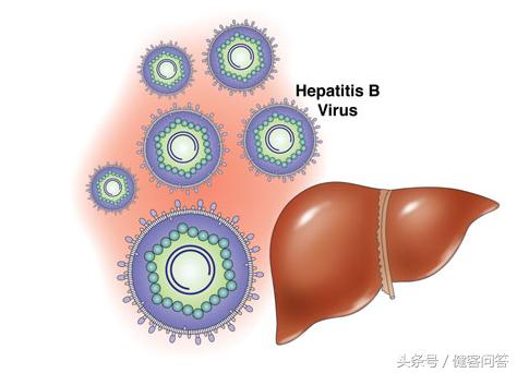 一不小心吃到寄生虫了怎么办,乙肝病毒吃进肚子会感染吗
