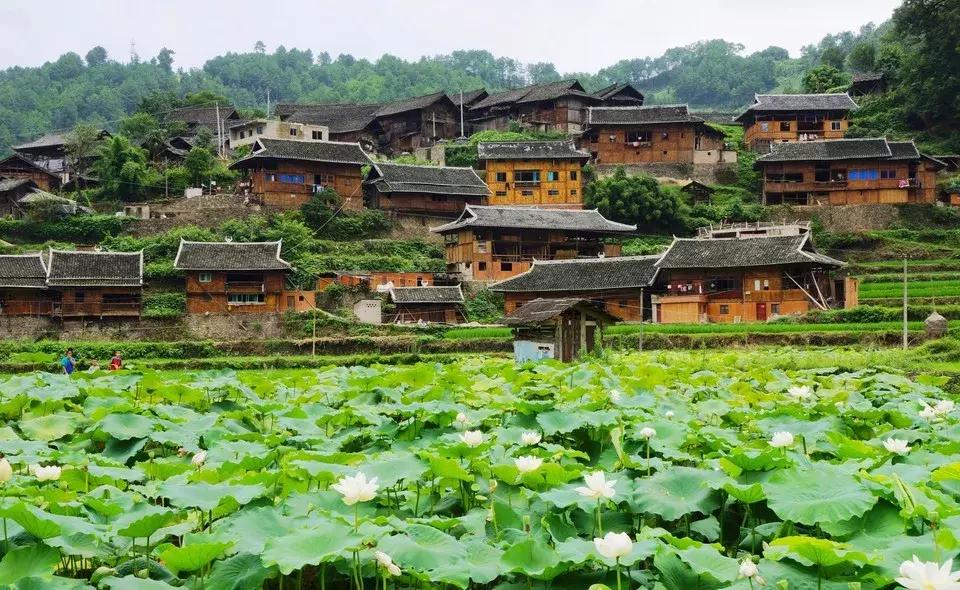 6月份去云南特价机票,昆明出发旅游特价机票