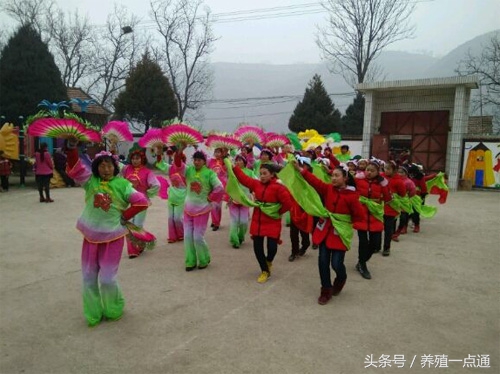 十大最适合农村创业项目,最新适合农村的五个创业项目