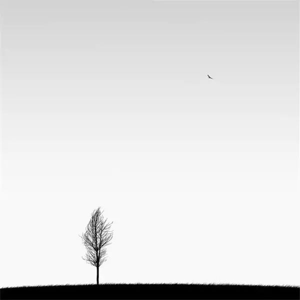 光影魔术手使用教程各工具的用途,光影魔术手怎么把模糊照片变清晰