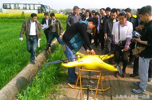 十大适合目前农村创业的项目,农民返乡创业有哪些好项目